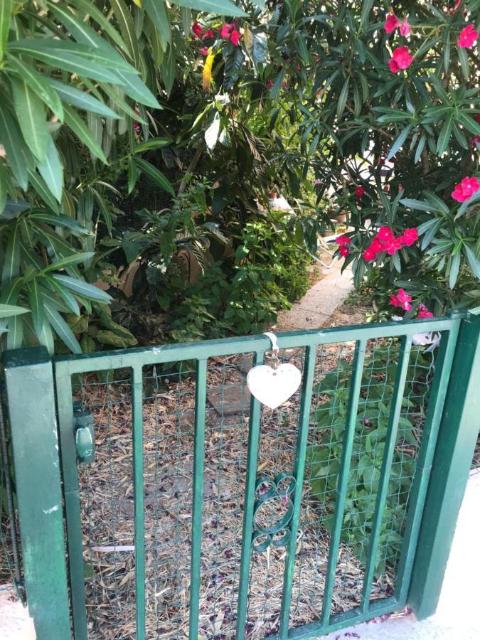 Joli Studio Avec Jardinet Avignon Eksteriør bilde